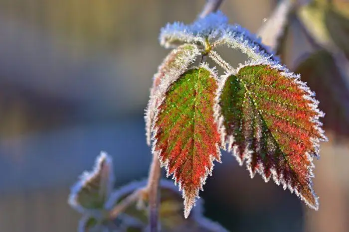 بۇگىن ەلىمىزدىڭ ءتورت وبلىسىندا اياز كۇتىلەدى