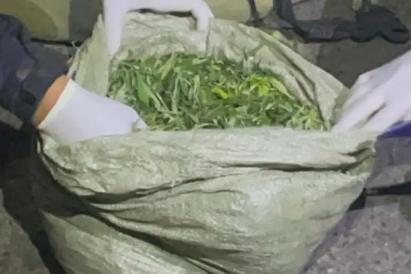 Полицейские задержали жителей Туркестанской области с 10 кг наркотиков