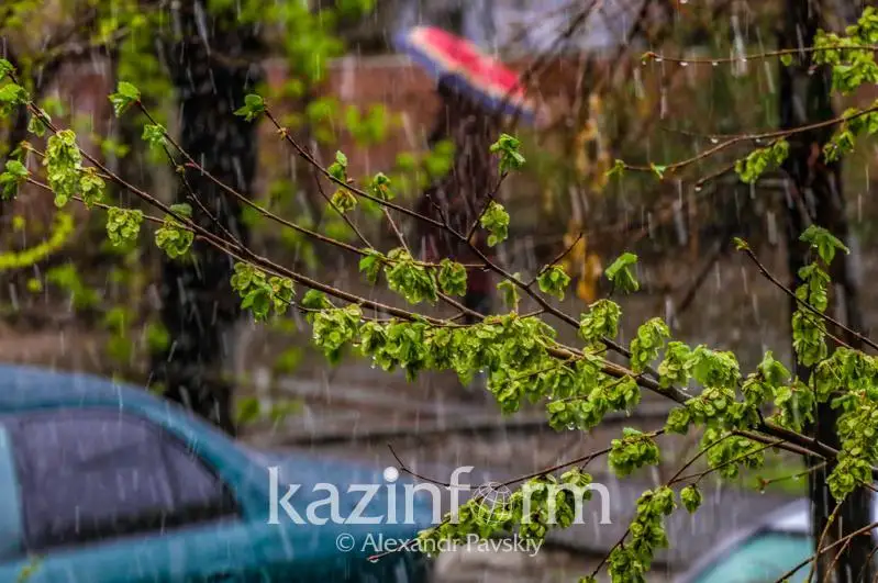 Кейинги уч кунлик об-ҳаво маълумоти