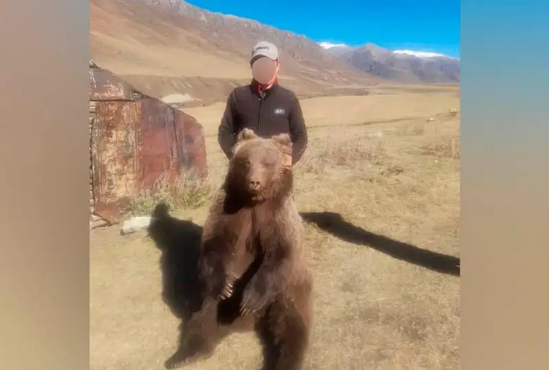 جەتىسۋ وبلىسىندا ايۋمەن سۋرەتكە تۇسكەن ادامدى پوليسيا ىزدەپ جاتىر
