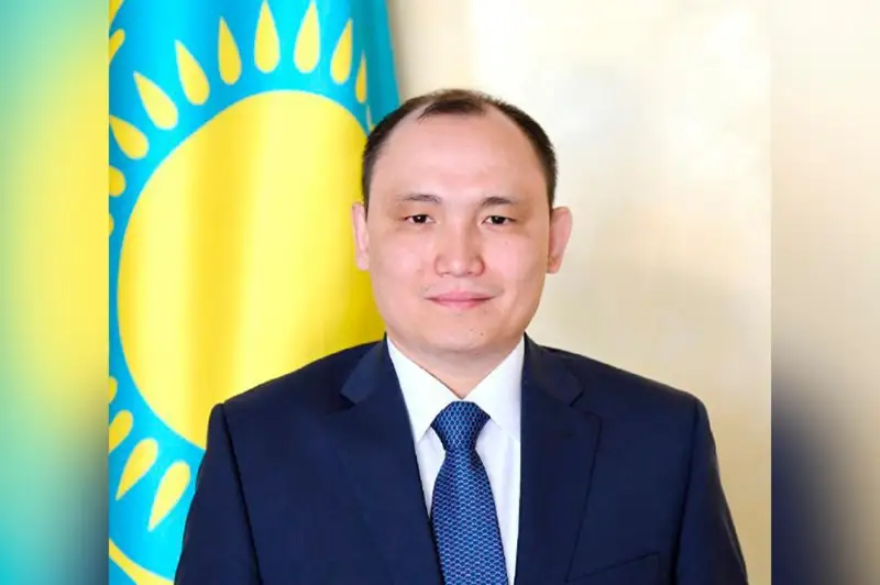 哈萨克斯坦大使会见南非副外长举行会谈
