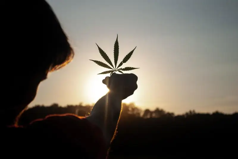 《世界毒品报告》: 新冠大流行加剧毒品风险  年轻人低估大麻危险性