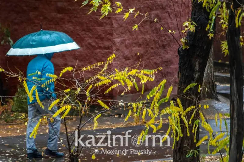 Низовая метель и гололед ожидаются в СКО