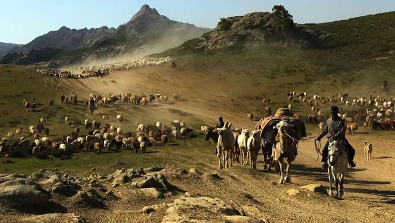 ورازاق سماعۇل: 4 مىڭ جىل بويى قازاق جەرىنە يەلىك جاساعان وزگە تايپالار بولماعان  - ۆيدەو