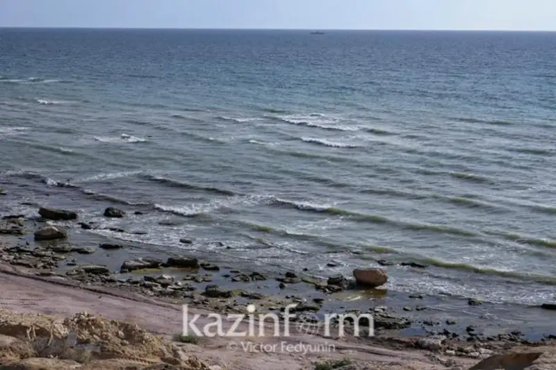 Международный круиз по Каспийскому морю могут запустить в следующем году