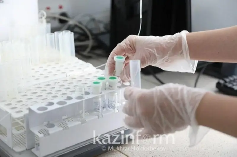 Денге иситмаси пандемия таҳдидини келтириб чиқармоқда - ЖССТ