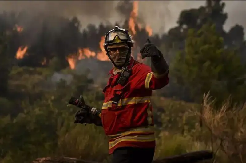 Португалияда ЮНЕСКОнинг Бутунжаҳон мероси рўйхатига киритилган боғ ёнмоқда