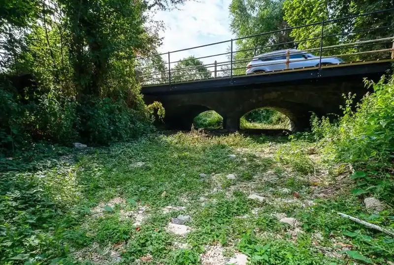 Исток Темзы впервые в истории пересох из-за жары