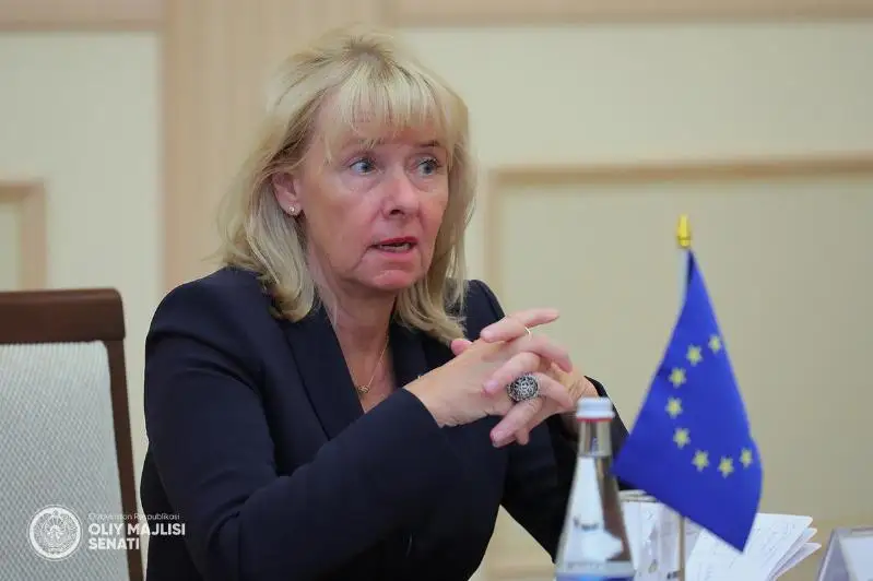 ЕИ махсус вакили: Ўзбекистон Афғонистонга гуманитар ёрдам етказиб беришда иштирок этиши мумкин