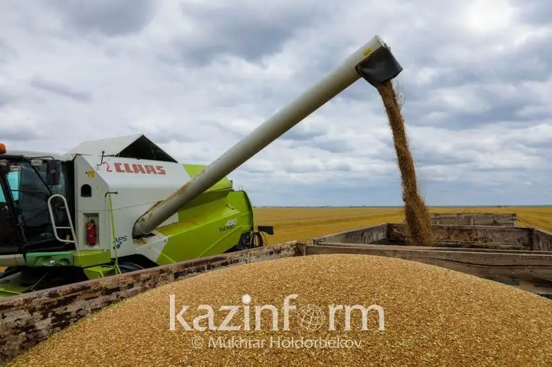 Қозоғистонда қишлоқ хўжалиги маҳсулотларини ишлаб чиқарувчиларга имтиёзли кредитлар берилади