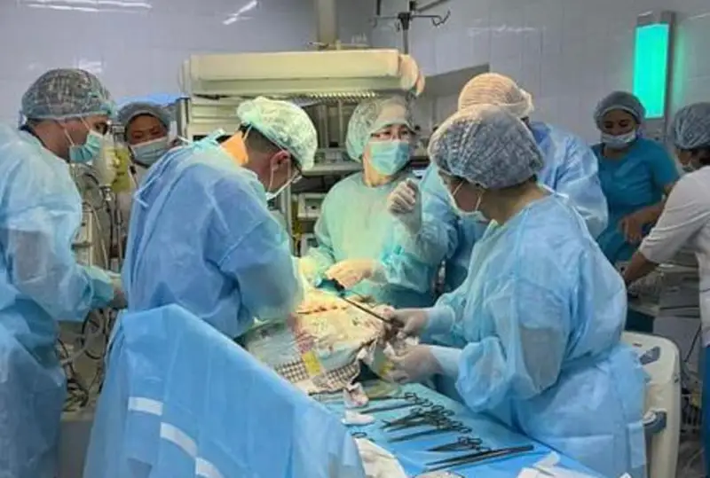 تۇركىستاندا جاڭا تۋعان سابيگە ەكى كۇن بويى وتا جاسالدى