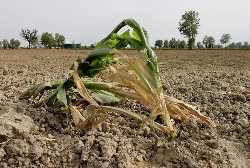 Италияда кучли қурғоқчилик туфайли фавқулодда ҳолат эълон қилинди