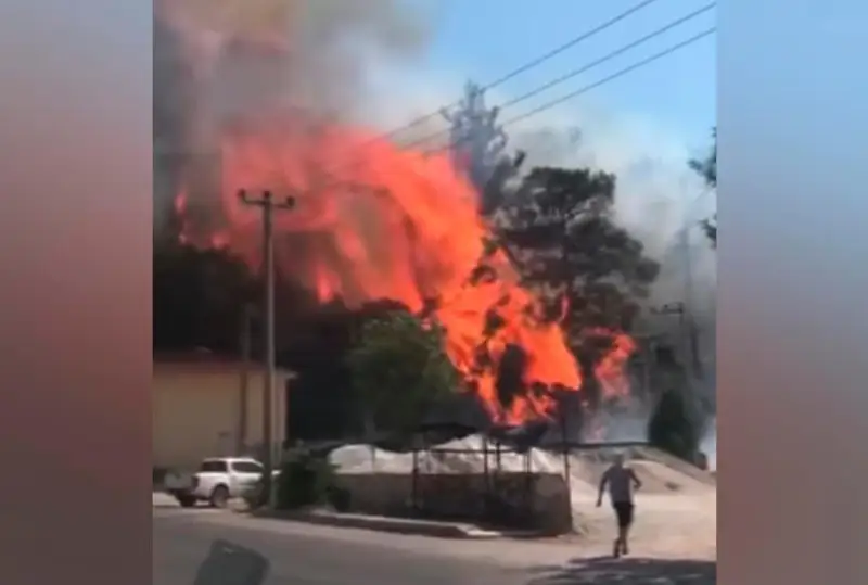 Туркиядаги ўрмон ёнғини меҳмонхонага ўтди