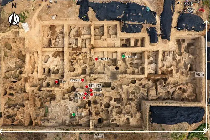 Хитойда дунёдаги энг қадимги танга зарб қилиш устахонаси топилди