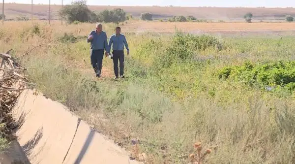 دارىلىك ءشوپ ءوسىرۋدى كاسىپ ەتكەن جەتىسۋلىق كاسىپكەر