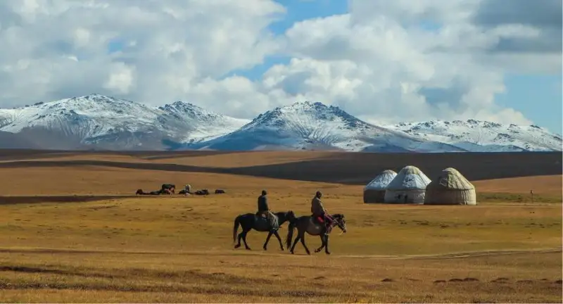 ۇلتتى ۇيىتقان ۇلى كوش توقتامايدى