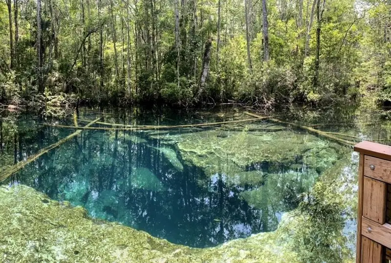 Флоридадаги сув ости ғорига шўнғиётган икки ғаввос ҳалок бўлди
