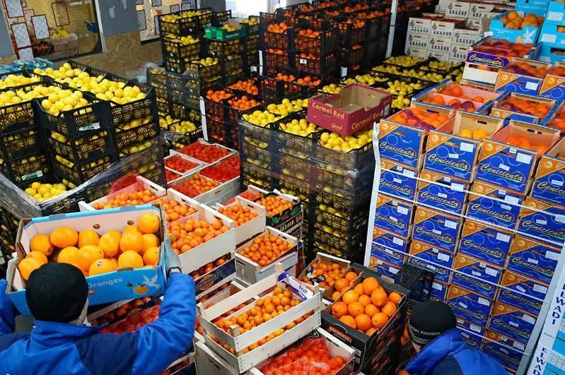 Қозоғистонда озиқ-овқат хавфсизлигини таъминлашга 200 млрд тенгедан ортиқ маблағ йўналтирилади