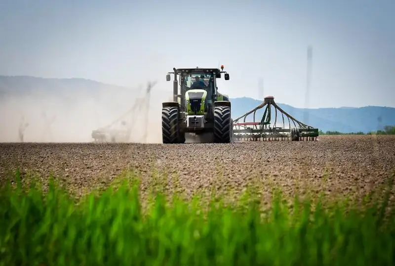 Зерновые культуры посеяли на площади 11 млн га в Казахстане