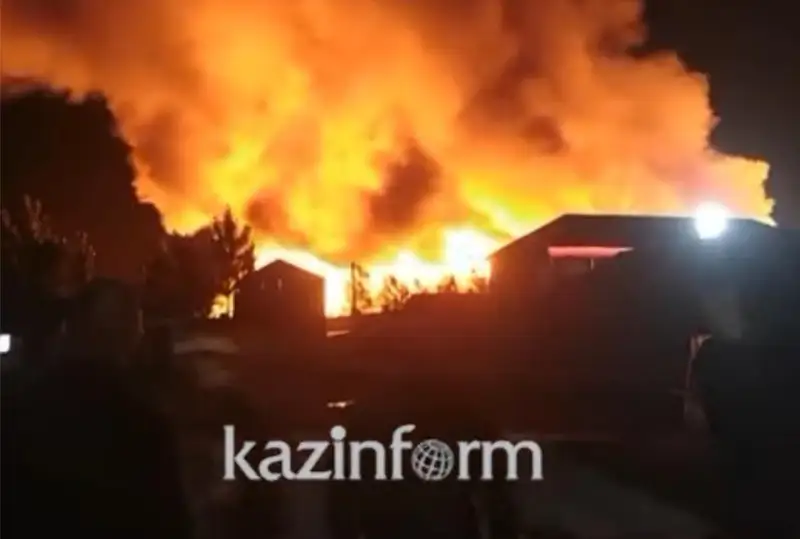 الاكولدە 3 مىڭ شارشى مەتر دەمالىس ورنى ورتەنىپ، 7 ادام زارداپ شەكتى