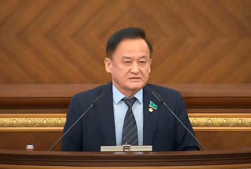 قازىبەك يسا: پرەزيدەنتتى ءبىر مەرزىمگە سايلاۋ - دەموكراتياعا قاراي باتىل قادام