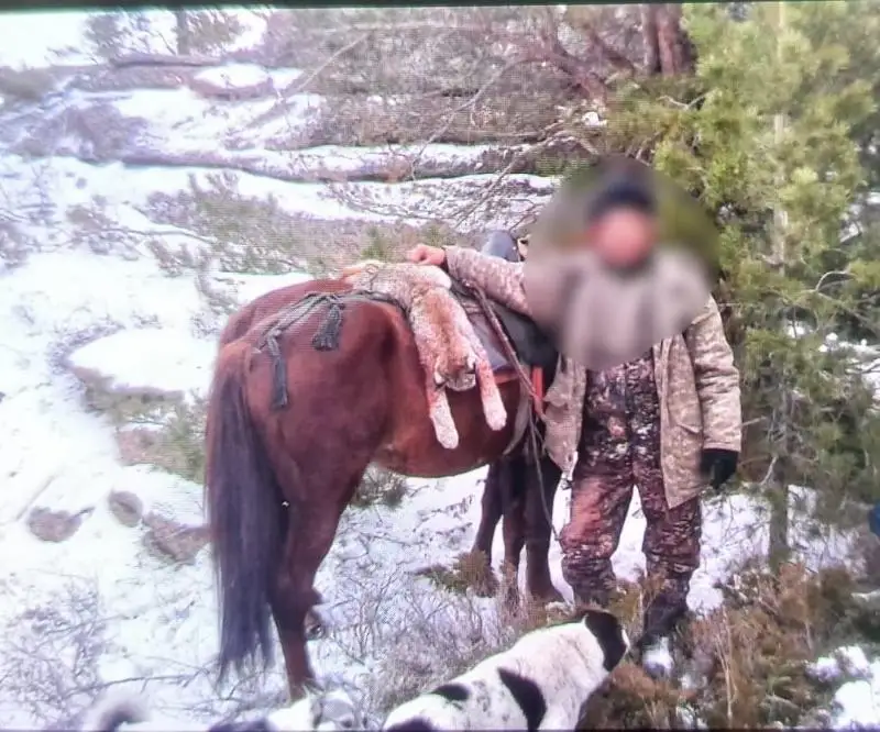 سىلەۋسىننىڭ دە سۇراۋى بار