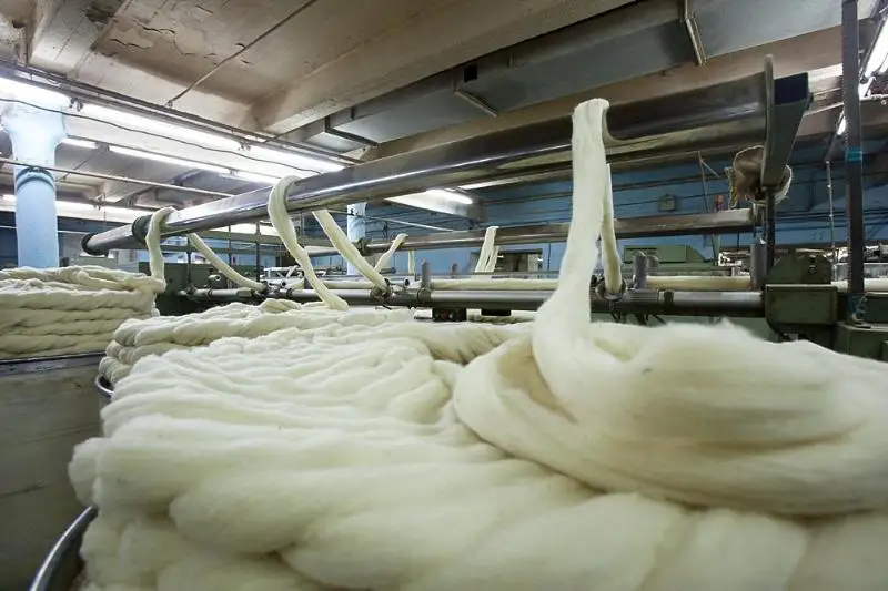 قازاقستان ءجۇن وڭدەيتىن كاسىپورىن سالاتىندارعا سۋبسيديا بەرىلمەك