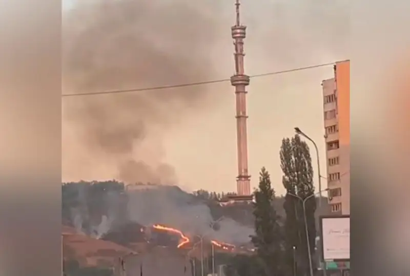 Сухостой горит на склоне возле Кок-Тобе в Алматы