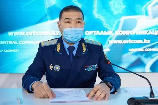 年初发生的暴力袭击事件共造成225人死亡