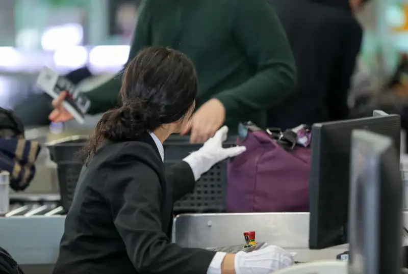 Какие «сюрпризы» находили у пассажиров в столичном аэропорту