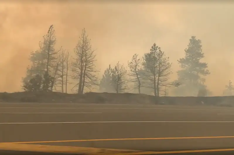 Канадада аномал иссиқлик туфайли ўрмон ёнғинлари авж олмоқда