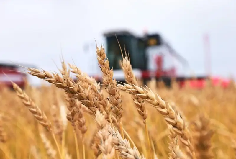 Қозоғистонда 280 та  қишлоқ хўжалиги кооперативи ташкил этилади