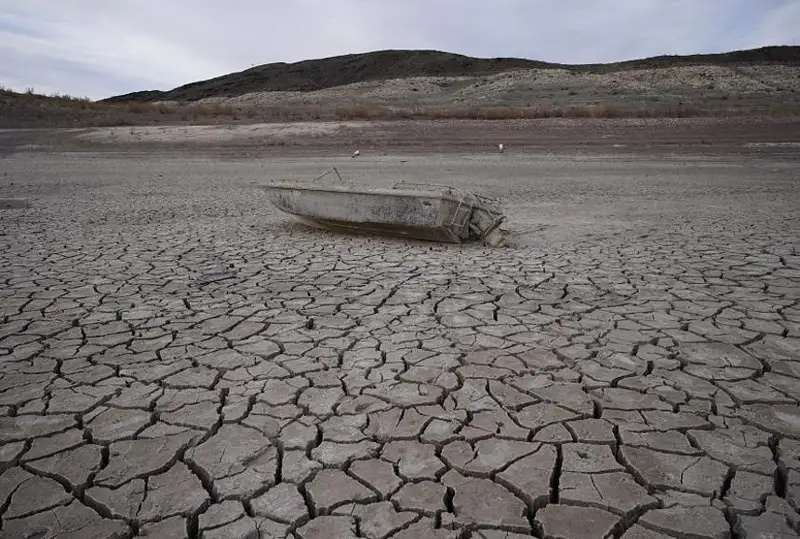 2050-جىلعا قاراي 216 ميلليون ادام قۋاڭشىلىق زاردابىن تارتادى