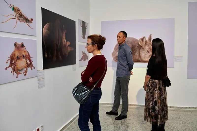 Астанадаги Миллий музейда National Geographic Photo Ark кўргазмаси очилди