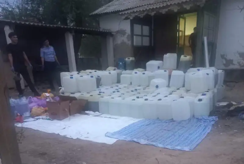 قونايەۆ قالاسىندا ەسىرتكى جاسايتىن ورىن تابىلدى