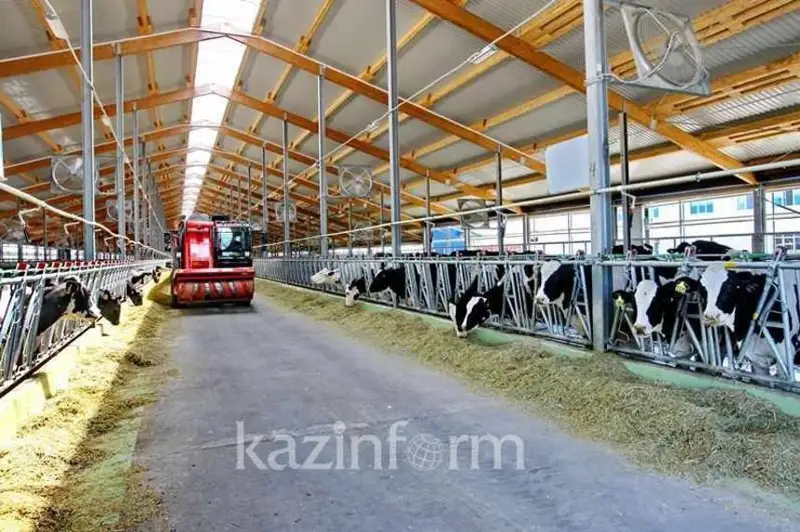 Бу йил Қозоғистонда агросаноат соҳасида 200 дан ортиқ лойиҳа амалга оширилади
