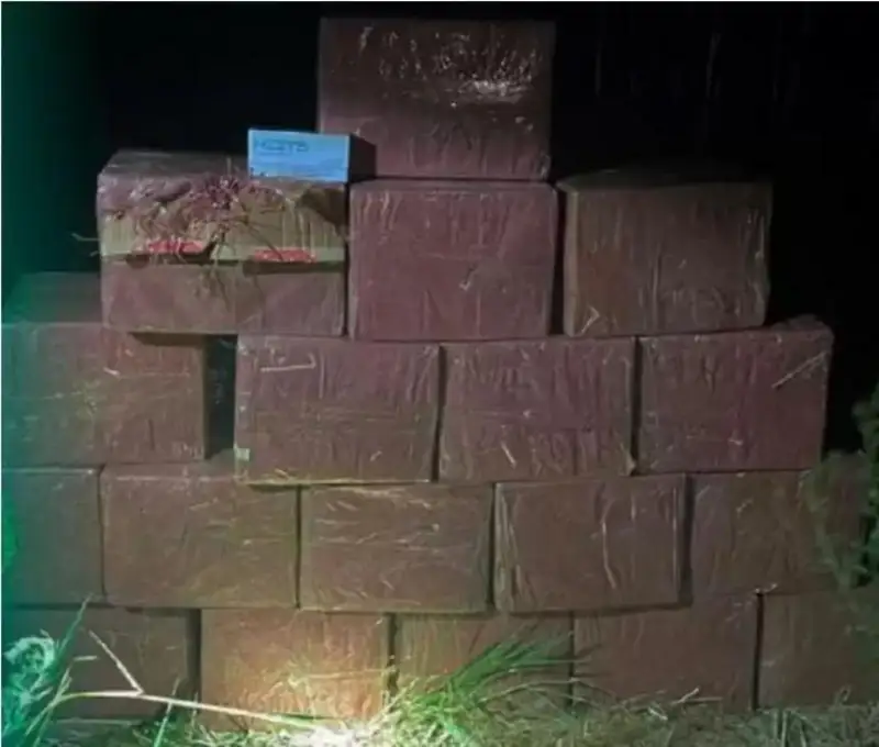 شەكارادان 6 ميلليون تەڭگەنىڭ تەمەكىسىن الىپ وتپەك بولعاندار ۇستالدى