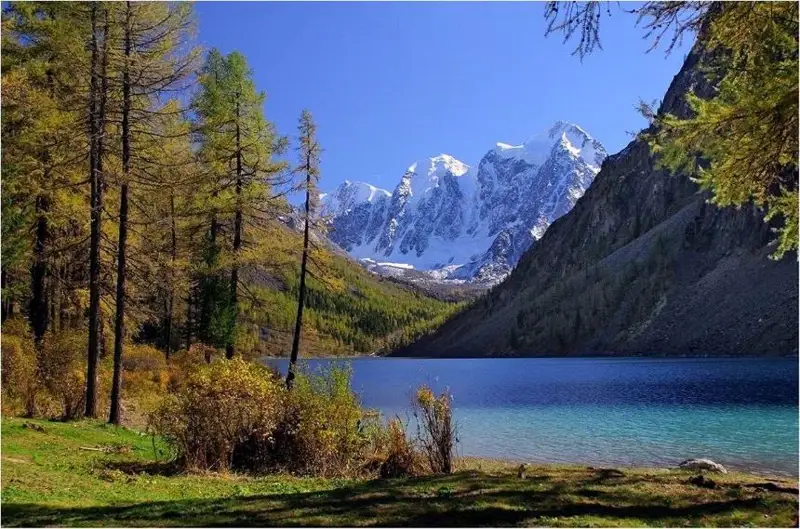 شىڭىندا وسكەن التايدىڭ سەن ءبىر شىنار - ەسەنعالي راۋشانوۆ، اقىن، ق ر مەملەكەتتىك سىيلىعىنىڭ لاۋرەاتى