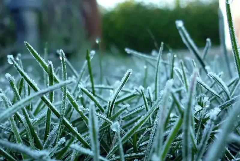 Қозоғистоннинг икки вилоятида совуқ бўлиши кутилмоқда