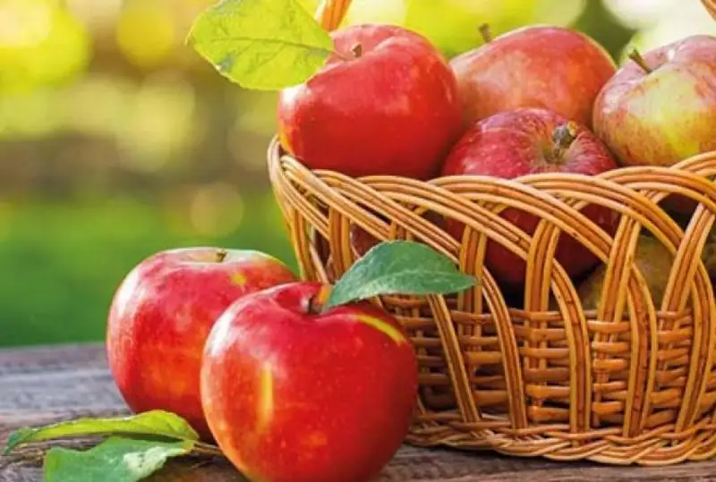 وزبەك الماسىنىڭ باسىم بولىگى قازاقستانعا ەكسپورتتالعان - شەتەلدەگى قازاقشا ب ا ق - قا شولۋ