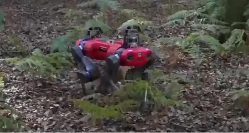 Тўрт оёқли робот Италияда атроф-муҳитни ўрганмоқда