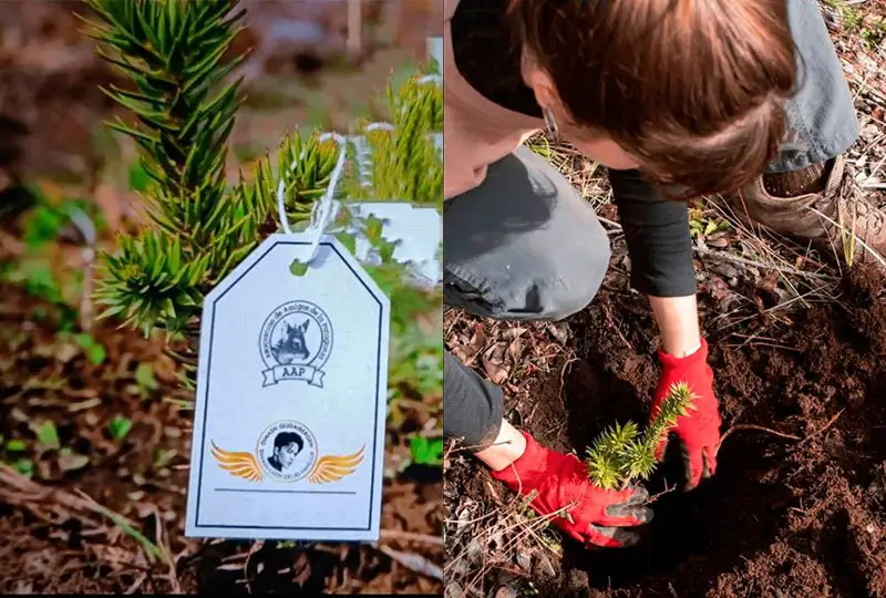 ديماش قۇدايبەرگەن «ورمان ساقشىسى» اتاندى