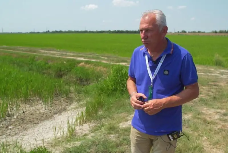 Кема қатнови мумкин бўлган Рейн дарёсининг қуриб кетиши Европа иқтисодиётига таҳдид солмоқда