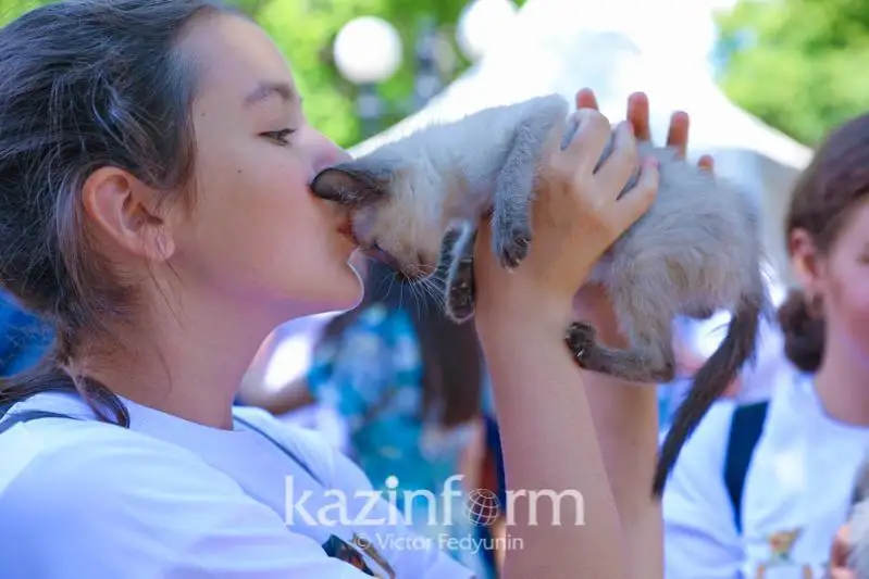 Қозоғистонда энди уйда жонивор асраш қонун билан тартибга солинади