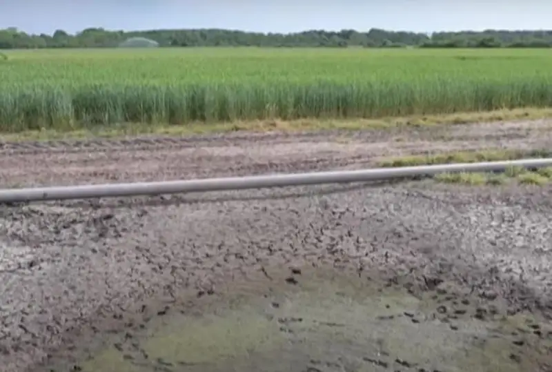 Франция фермерлари қурғоқчиликдан азият чекмоқда