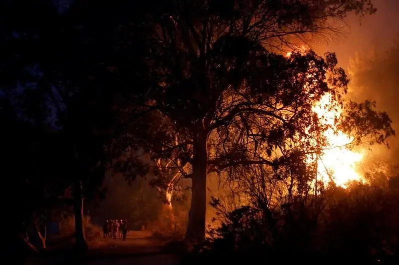 Грецияда ёнғин назоратдан чиқиб кетди: 2 та шаҳар аҳолиси эвакуация қилинмоқда