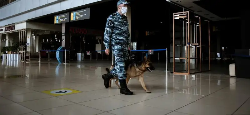 阿联酋警方将尝试使用嗅探犬查明COVID-19感染者