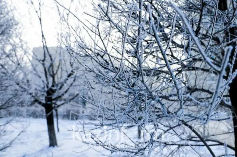 دەمالىس كۇندەرى بوران سوعىپ، 25 گرادۋسقا دەيىن اياز ساقتالادى