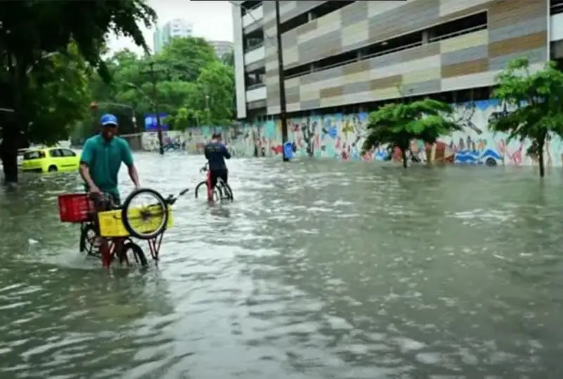 Димашнинг мухлислари тошқиндан жабрланган бразилияликларга ёрдам беришди