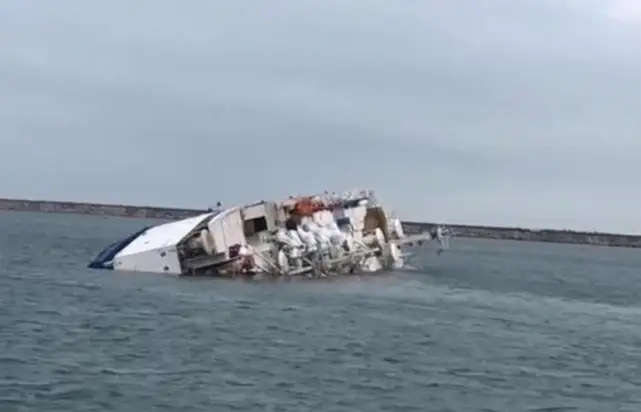 Судно с почти 16 тыс. овец затонуло в Судане